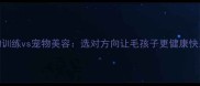 宠物训练vs宠物美容选对方向让毛孩子更健康快乐