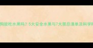 幼犬期狗狗能吃水果吗5大安全水果与7大禁忌清单及科学喂养指南