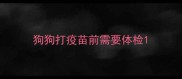 狗狗打疫苗前需要体检