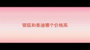银狐和泰迪哪个价格高