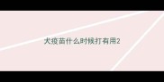 犬疫苗什么时候打有用