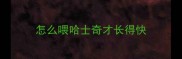 怎么喂哈士奇才长得快