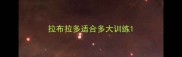 拉布拉多适合多大训练