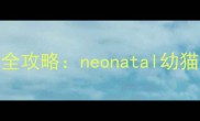 半个月大的猫咪护理全攻略neonatal幼猫养护要点与喂养指南