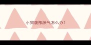 小狗腹部胀气怎么办