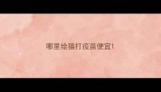 哪里给猫打疫苗便宜
