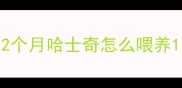 2个月哈士奇怎么喂养