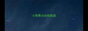 小狗骨头划伤肠道