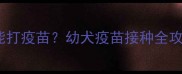 狗狗拉软便能不能打疫苗幼犬疫苗接种全攻略附护理指南