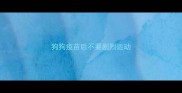 狗狗疫苗后不要剧烈运动