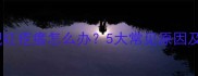 泰迪犬身上出现红疙瘩怎么办5大常见原因及专业护理指南