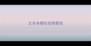 北京有哪些宠物墓地
