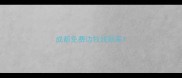 成都免费边牧找新家