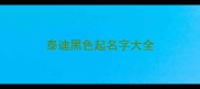泰迪黑色起名字大全