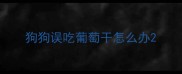狗狗误吃葡萄干怎么办