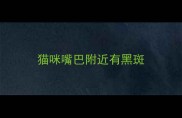 猫咪嘴巴附近有黑斑
