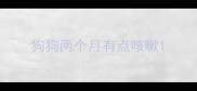 狗狗两个月有点咳嗽
