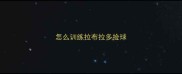 怎么训练拉布拉多捡球