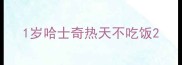 1岁哈士奇热天不吃饭