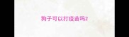 狗子可以打疫苗吗
