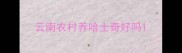 云南农村养哈士奇好吗