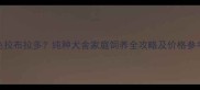 武汉哪里买咖啡色拉布拉多纯种犬舍家庭饲养全攻略及价格参考附最新数据