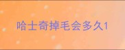 哈士奇掉毛会多久
