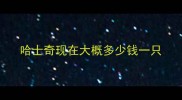 哈士奇现在大概多少钱一只
