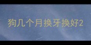 狗几个月换牙换好