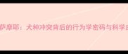 哈士奇VS萨摩耶犬种冲突背后的行为学密码与科学应对指南
