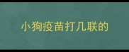 小狗疫苗打几联的