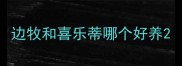 边牧和喜乐蒂哪个好养