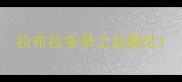 拉布拉多早上总呕吐