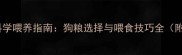 拉布拉多幼犬科学喂养指南狗粮选择与喂食技巧全附营养配比表