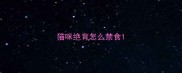 猫咪绝育怎么禁食