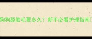 狗狗舔胎毛要多久新手必看护理指南