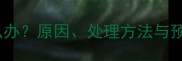 小狗左前腿不敢着地怎么办原因处理方法与预防指南附兽医建议
