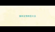 猫咪发情棉签大法