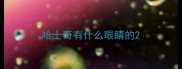 哈士奇有什么眼睛的