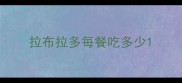 拉布拉多每餐吃多少