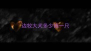 边牧大犬多少钱一只