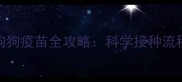 三个月大的狗狗疫苗全攻略科学接种流程与注意事项