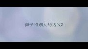鼻子特别大的边牧