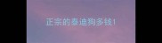 正宗的泰迪狗多钱