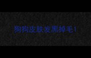 狗狗皮肤发黑掉毛