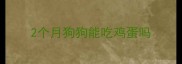 2个月狗狗能吃鸡蛋吗