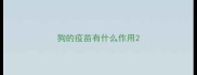 狗的疫苗有什么作用