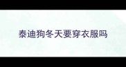 泰迪狗冬天要穿衣服吗