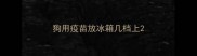 狗用疫苗放冰箱几档上