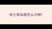 哈士奇品相怎么分辨